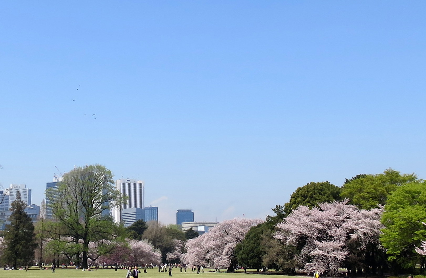 b0178339_19385639.jpg