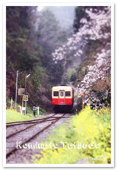 小湊鉄道の春～♪_a0097840_0531051.jpg