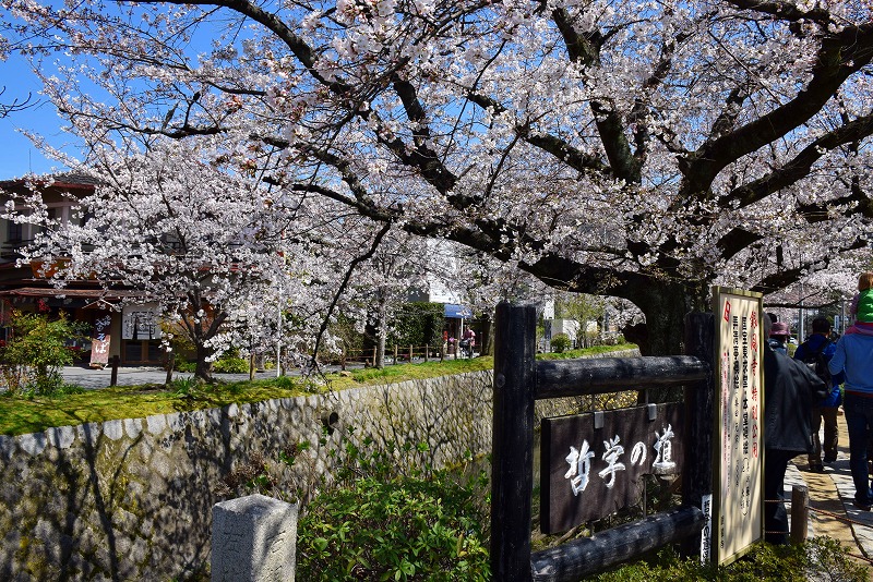 まだちょっと早い？『哲学の道』の桜20140331_e0237645_20431293.jpg