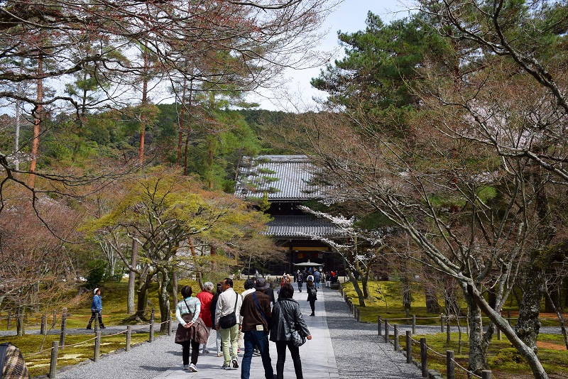 重厚感のある『南禅寺』は適度な桜の配置20140331_e0237645_20494998.jpg