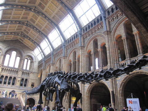 Natural History Museum_d0243846_19051644.jpg