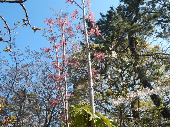 f0031546_144367.jpg