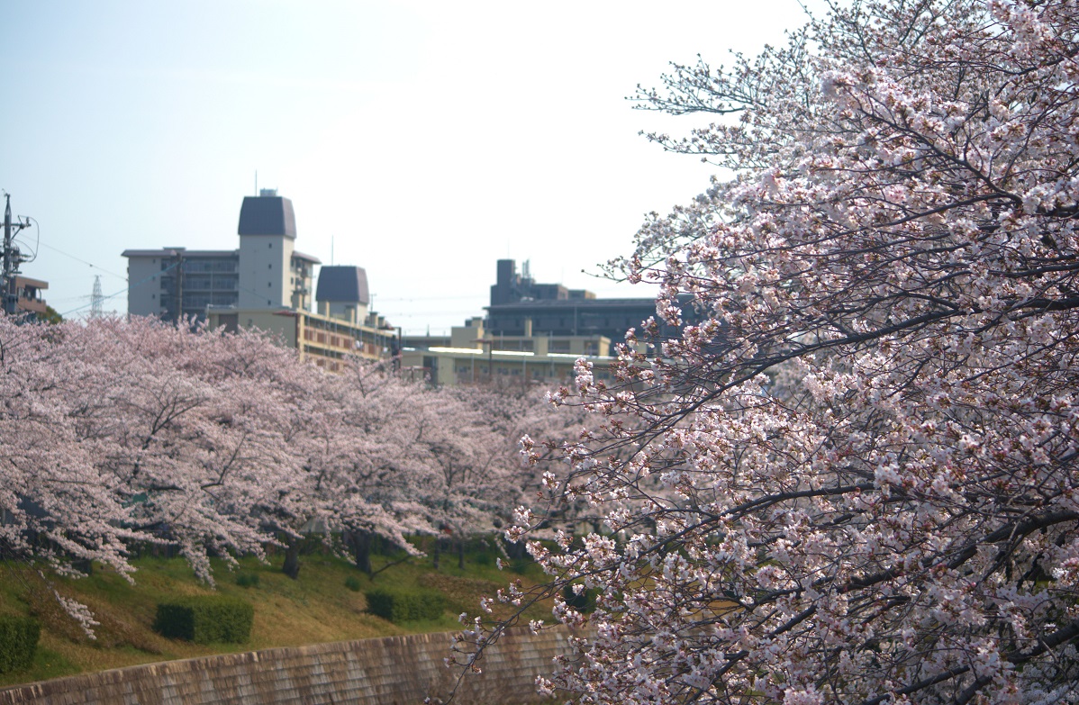 a0055650_1213837.jpg