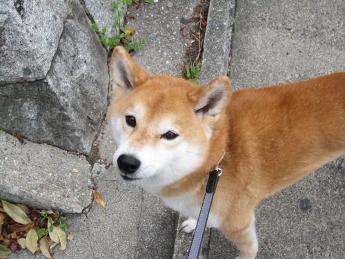 f0245650_09511292.jpg