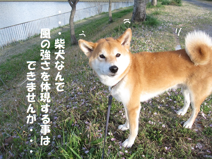 f0245650_09531288.jpg