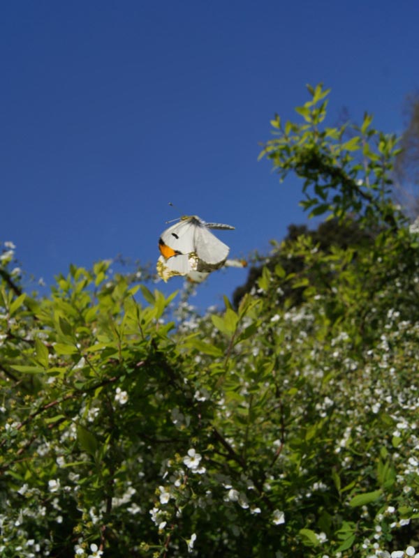 c0045352_18412639.jpg