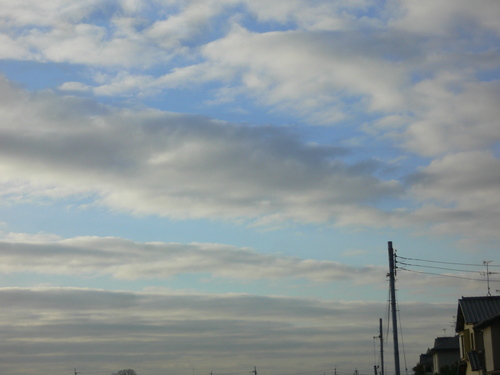 f0301753_8463893.jpg