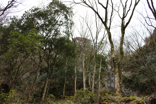 f0301753_9305590.jpg