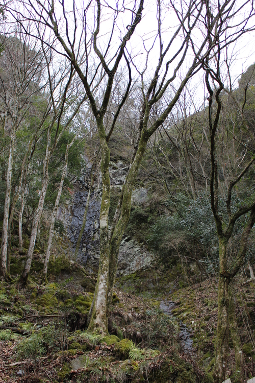 f0301753_9343751.jpg