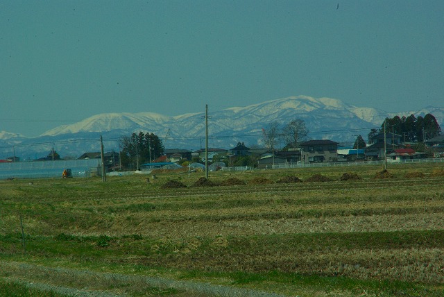 雪山が～_d0041158_911226.jpg