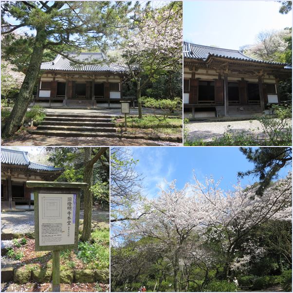 【桜の美しい本牧三渓園「待春軒」で三渓そば】_c0042960_16324135.jpg