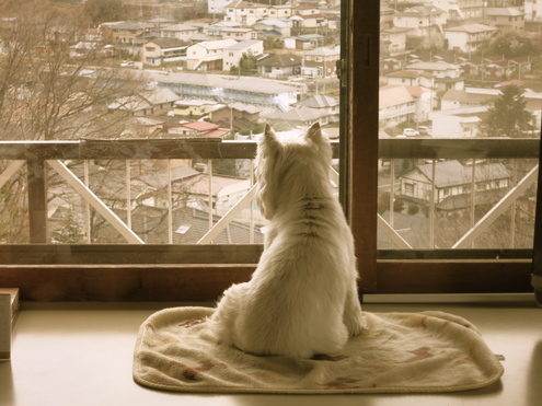 たそがれる。。。_c0260460_12413380.jpg