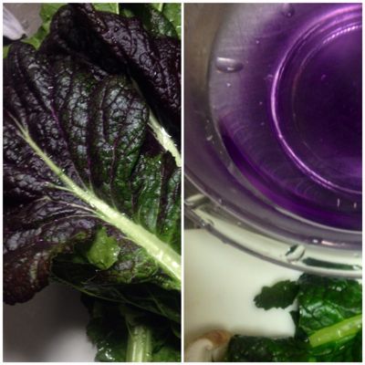 紫の菜っ葉 ごはんとおやつ とつくったものブログ