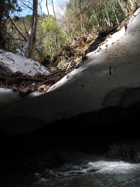 c0237264_2203359.jpg