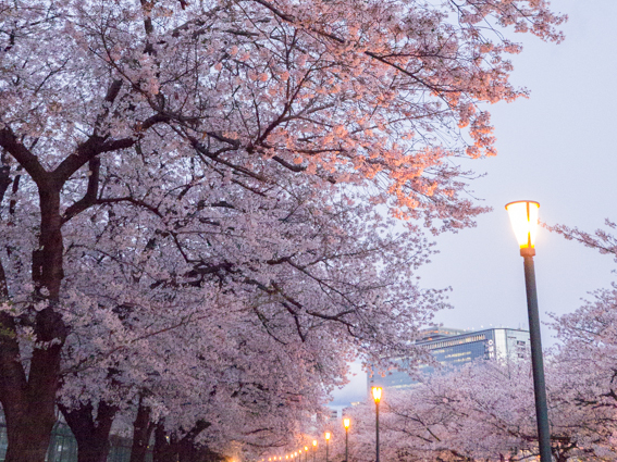 b0309167_15515990.jpg