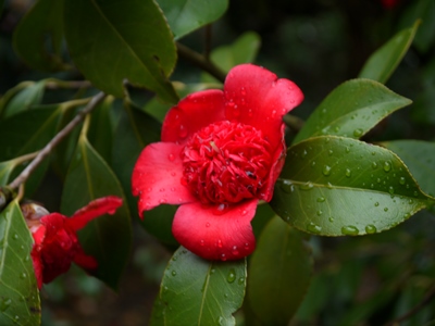 a0219573_11353160.jpg
