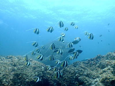 b0033573_21263549.jpg