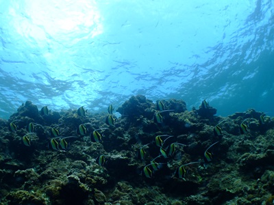 b0033573_21265149.jpg