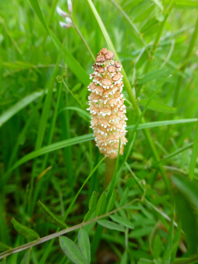 d0042474_20385660.jpg
