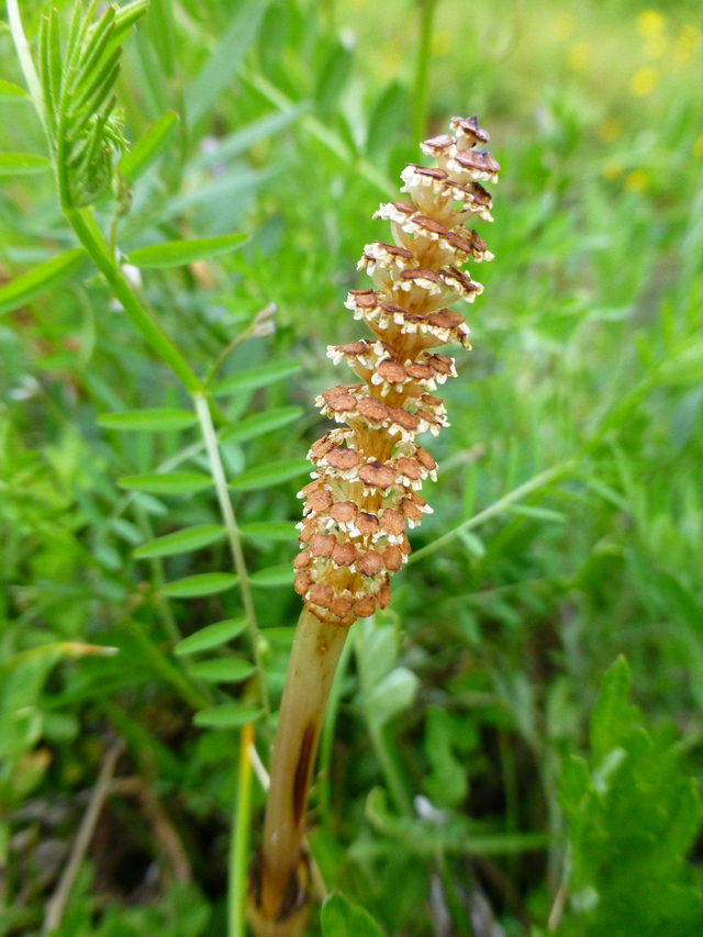 d0042474_20391056.jpg
