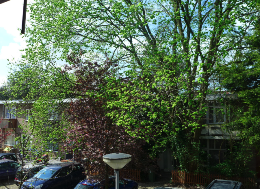 c0197980_21593132.png