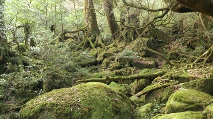 f0172281_613252.jpg
