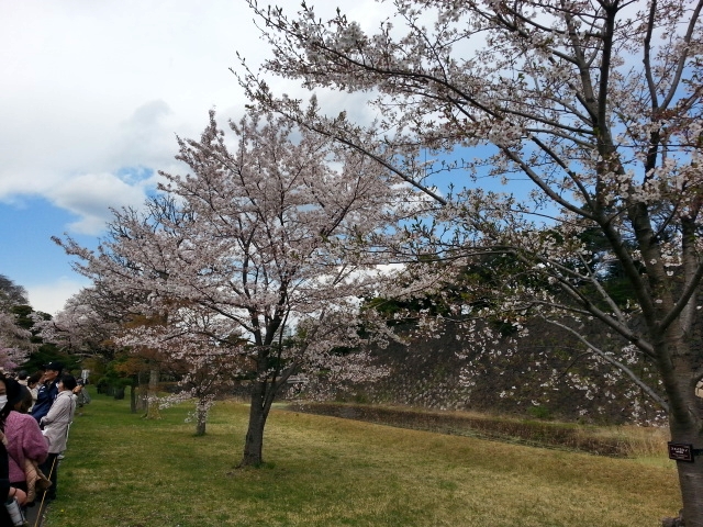 c0096685_21082989.jpg