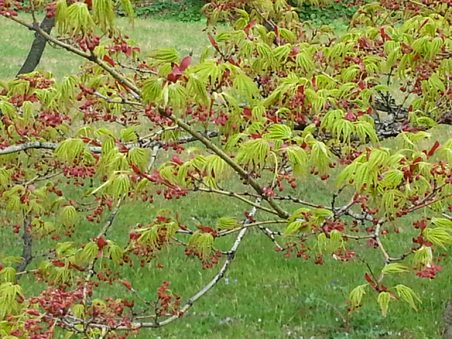 c0096685_21535296.jpg