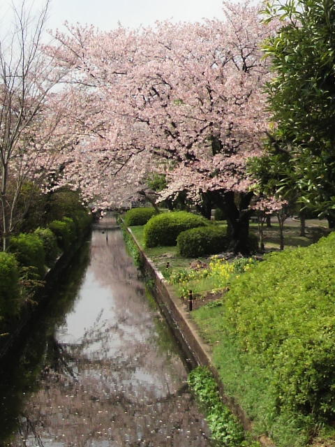 c0198685_17384239.jpg