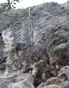 c0018489_121293.jpg