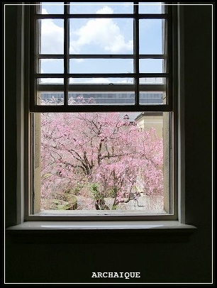 世の中に絶えて桜のなかりせば・・・_c0207890_2122225.jpg