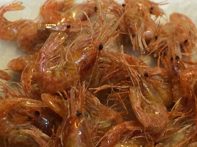 モチエビ_d0268290_15252721.jpg