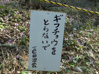 e0271890_23432115.png