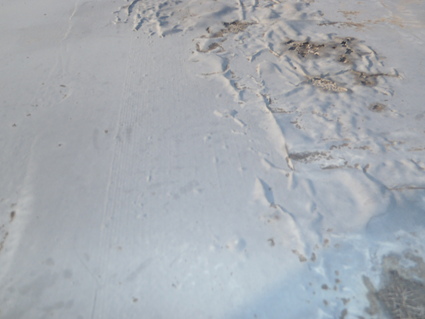 a0229594_8464018.jpg