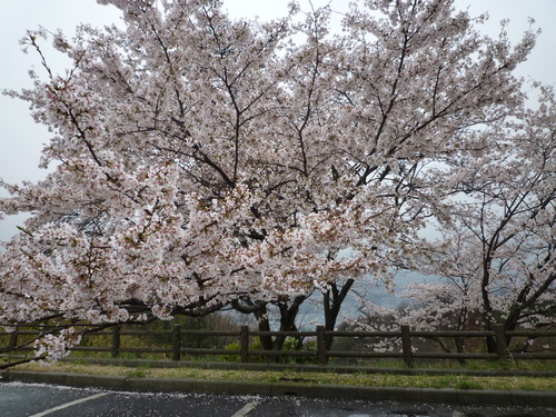 a0231900_15142633.jpg