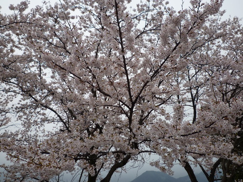 a0231900_15144789.jpg