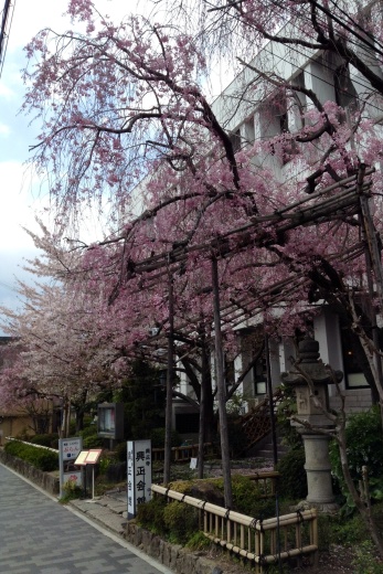 京都まるごとマルシェ「おとなの縁日」に行って来ました ( ´ ▽ ` )ﾉ_b0301400_21433937.jpg