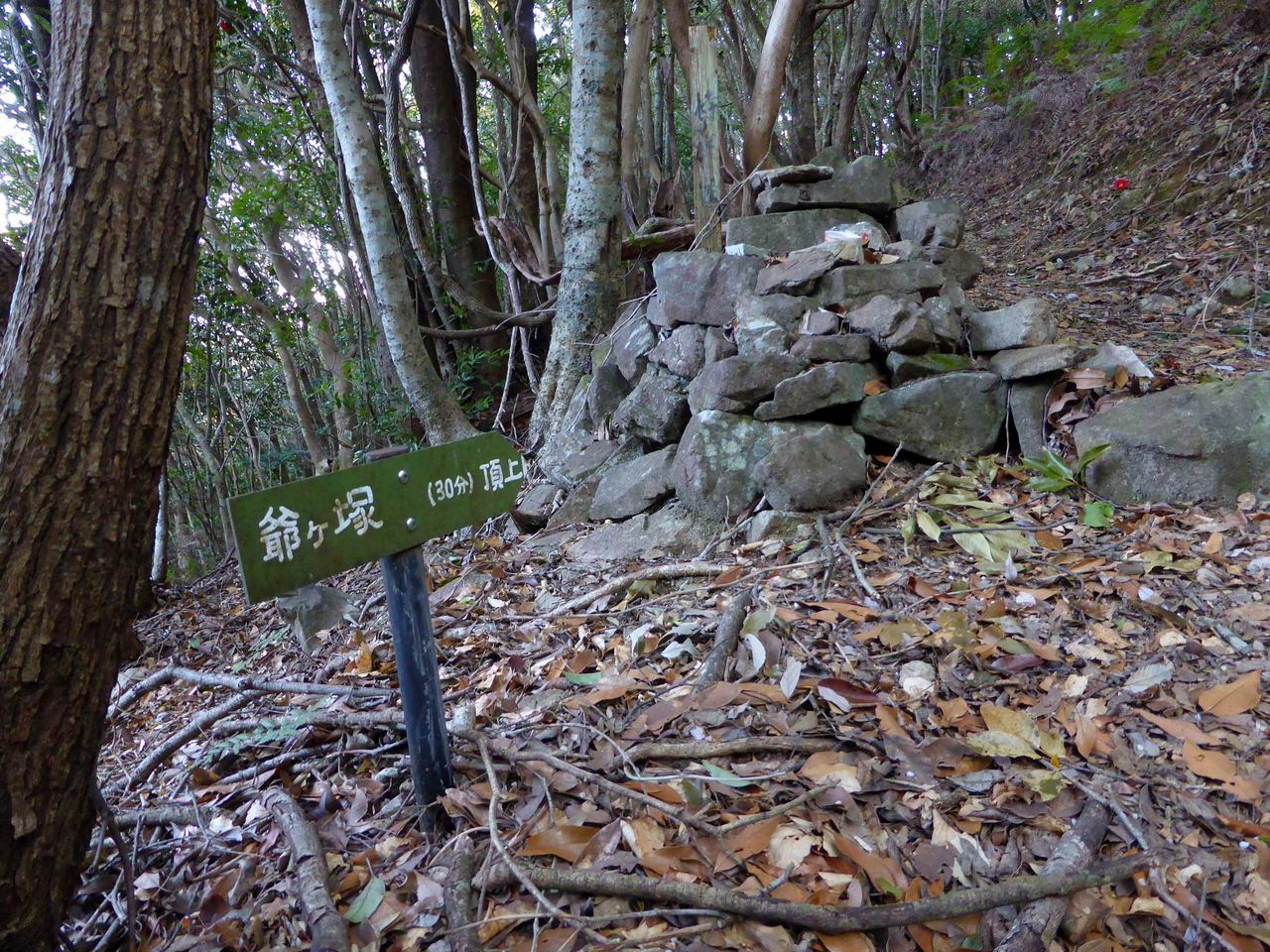 姫越山・座佐ノ高－潮騒を聞きながら陽だまりハイク_e0110500_2342689.jpg