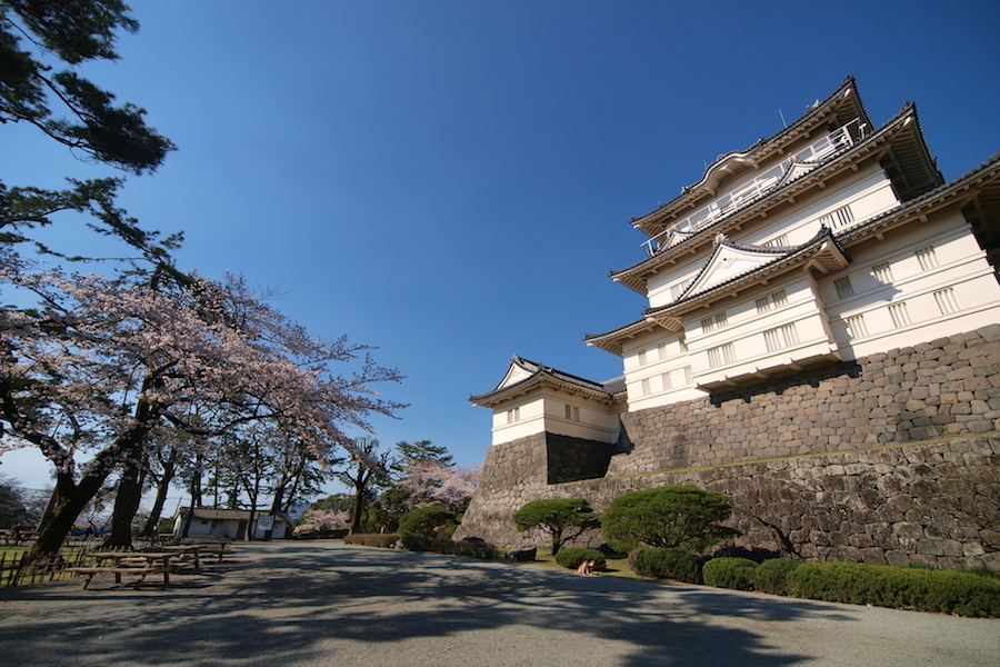 桜咲く小田原城へ_f0109601_16125612.jpg