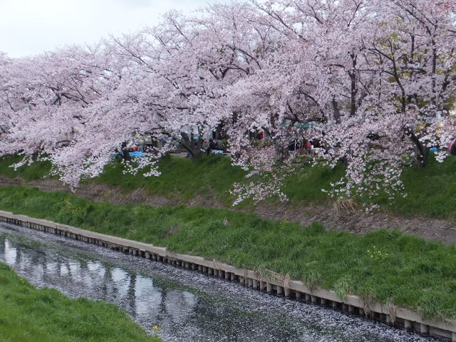 a0271502_18434055.jpg