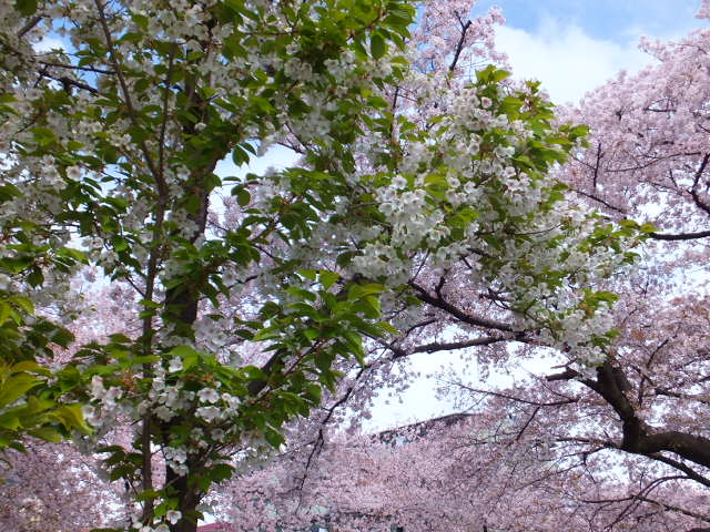 a0271502_18501783.jpg