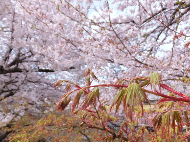 a0271502_18512230.jpg