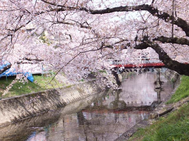 a0271502_1937316.jpg