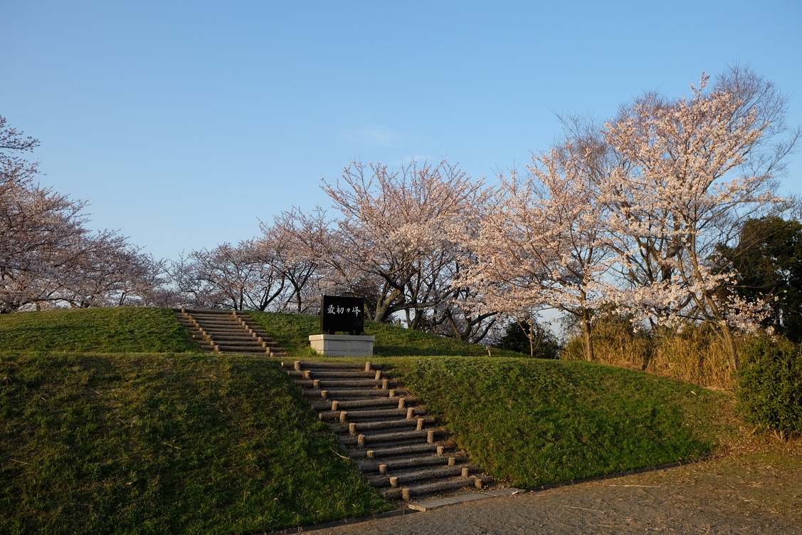 桜咲ク_d0078203_19514993.jpg