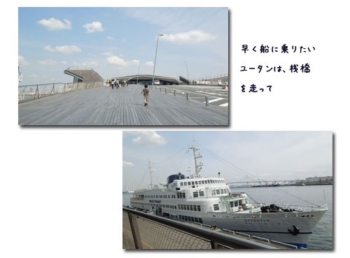 c0051105_15584417.jpg