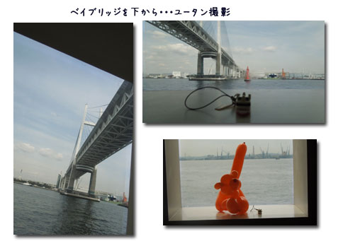 c0051105_177057.jpg