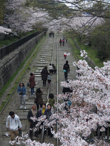 哲学の道から街中までぶらぶら_b0254207_883655.jpg