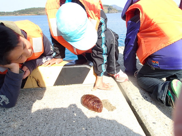 春休み！島の子どもになろう★Aコース_c0092408_22502024.jpg