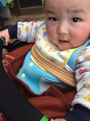 シートベルト?_d0099708_12323094.jpg