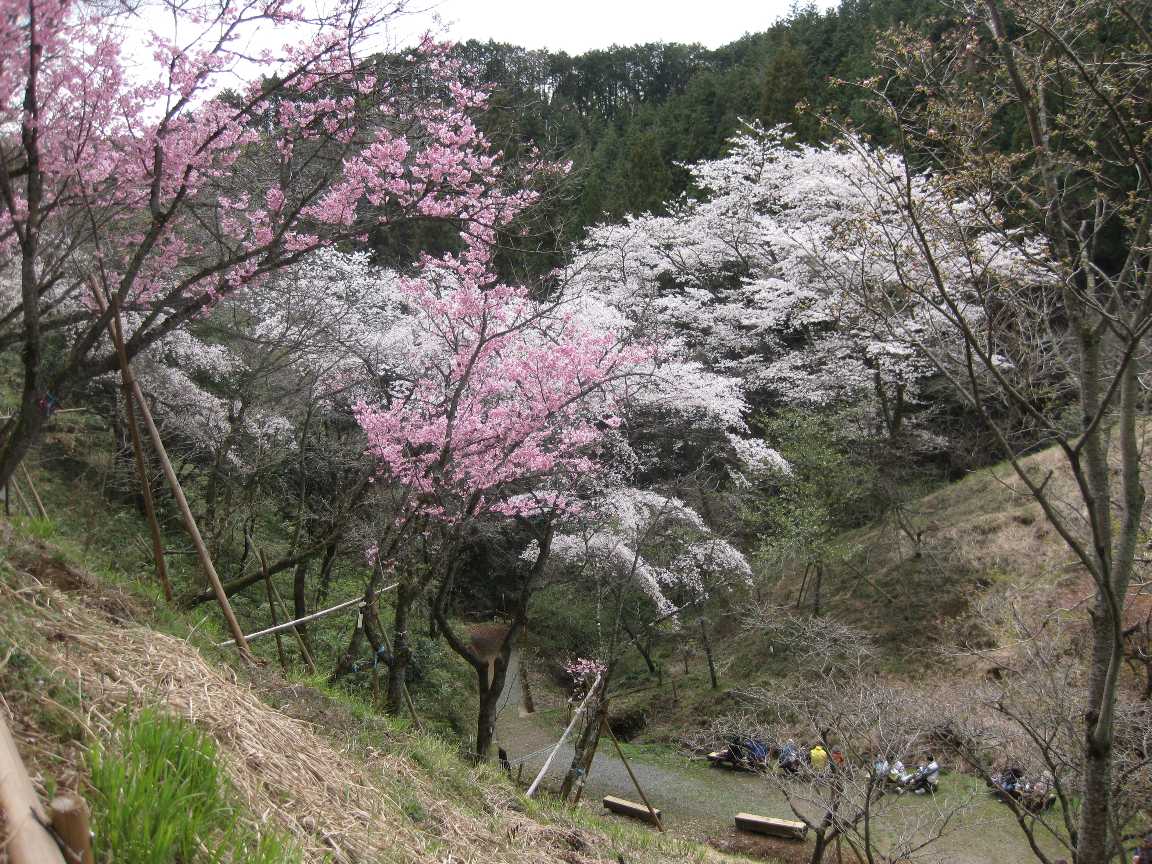 多摩森林科学園_a0138609_810167.jpg